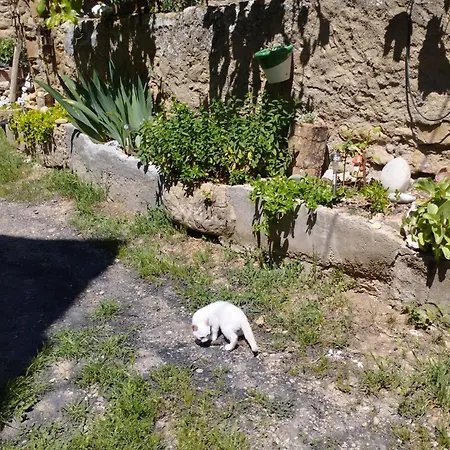 Apartamento Casa Tardanet Peralta de la Sal